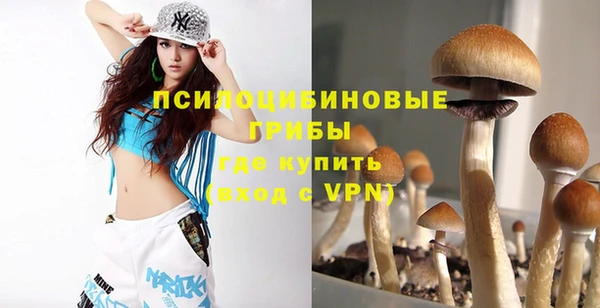 марки nbome Карпинск