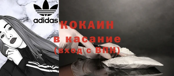 дживик Касимов