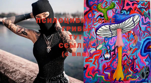 марки nbome Карпинск