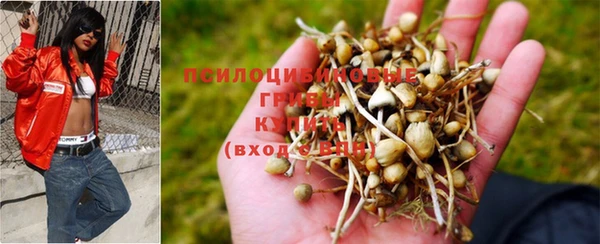 твердый Карталы
