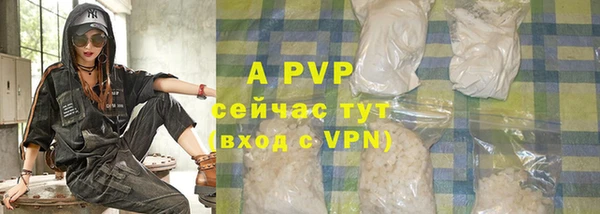 дживик Касимов