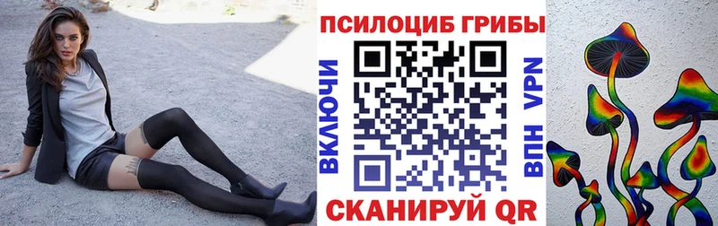 Псилоцибиновые грибы Magic Shrooms  Купить закладки  Нефтегорск 