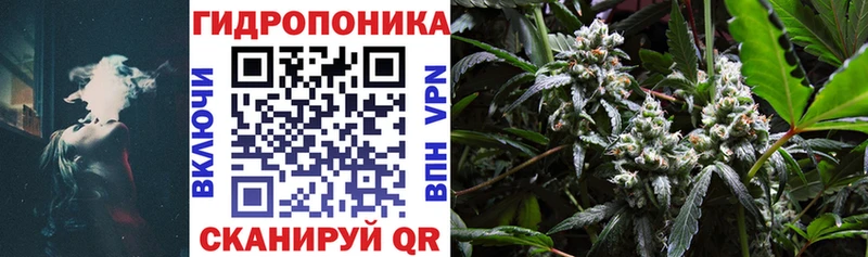 Марихуана White Widow  Купить закладки  Нефтегорск 